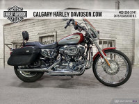 2005 Harley-Davidson Sportster 1200 Custom XL1200C