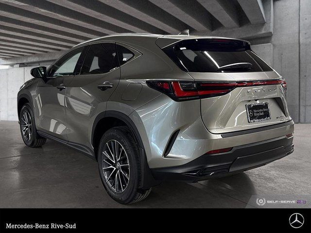 2024 Lexus NX 250 in Cars & Trucks in Longueuil / South Shore - Image 3