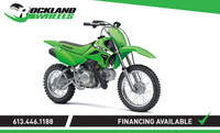 2024 Kawasaki KLX110R