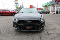 Well-maintained Pure driving excitement. Unleash the power of the iconic 5.0L V8 with this Mustang G... (image 1)