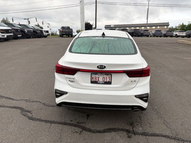 2019 Kia Forte in Cars & Trucks in Fredericton - Image 4