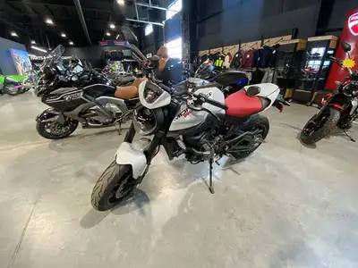 2024 Ducati Monster Plus Iceberg WhiteJust Fun! Now in Iceberg White. A modern take on the Monster t...