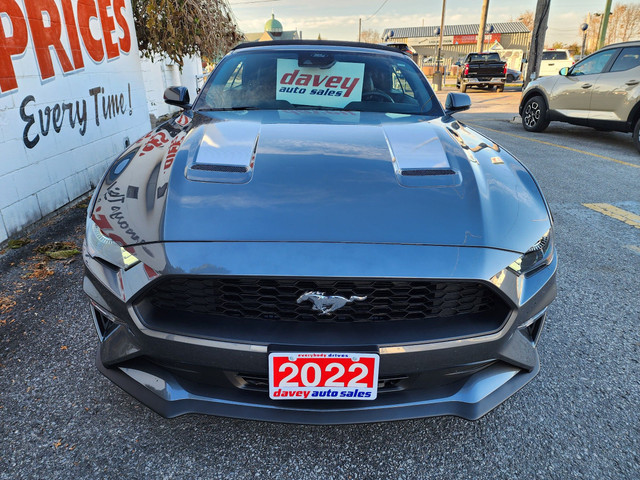 2022 Ford Mustang EcoBoost Premium COME EXPERIENCE THE DAVEY... in Cars & Trucks in Oshawa / Durham Region - Image 2