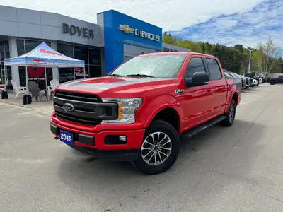 2019 Ford F-150 XLT