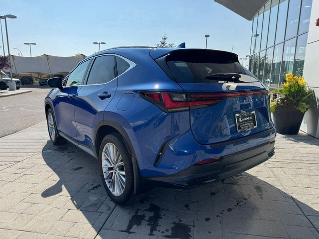 2024 Lexus NX in Cars & Trucks in Calgary - Image 2