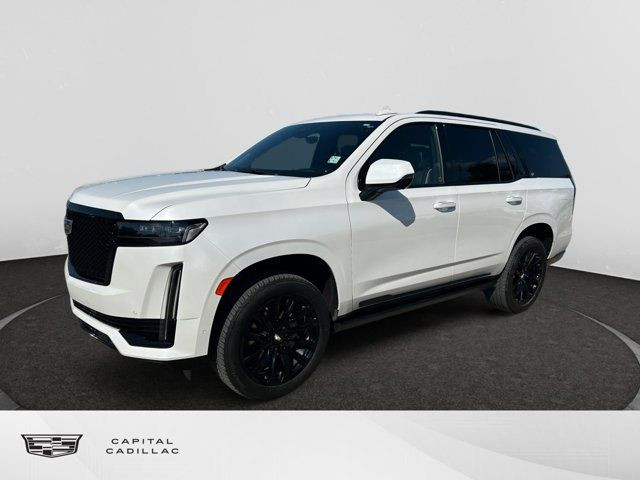 2021 Cadillac Escalade Sport 4WD in Cars & Trucks in Regina