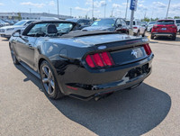 WAS: $30990 NOW: $28490 plus taxes and licensing feesLow Mileage, Premium Audio Package, Rear View C... (image 2)