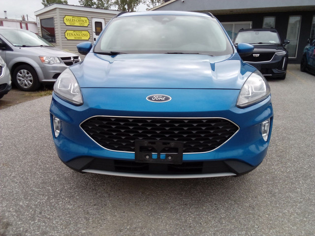 2020 Ford Escape in Cars & Trucks in Leamington - Image 2
