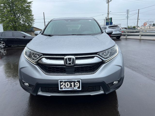 2019 Honda CR-V in Cars & Trucks in Brantford - Image 2