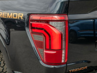 Experience the future of tough with the 2025 Ford F-150 Tremor. This cutting-edge truck combines rug... (image 9)
