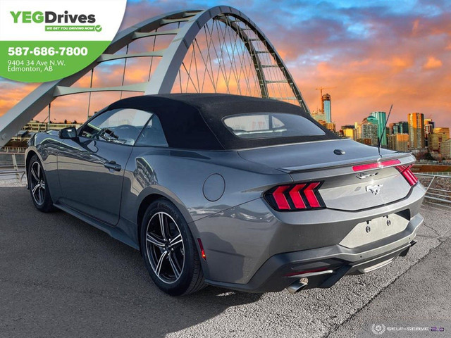 2024 Ford Mustang EcoBoost Premium in Cars & Trucks in Edmonton - Image 4