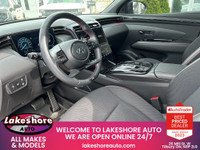 All Vehicles come with Car Proof so you know exactly what you're buying. All our vehicles are certif... (image 8)
