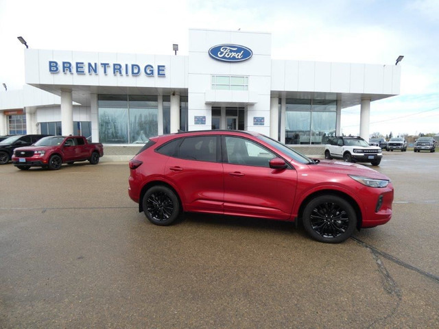 ST-Line Elite AWD, Hybrid in Cars & Trucks in Edmonton - Image 3