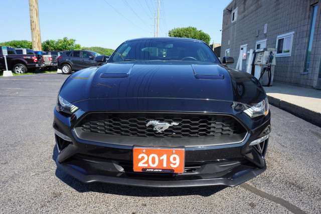 2019 Ford Mustang in Cars & Trucks in Oakville / Halton Region - Image 2