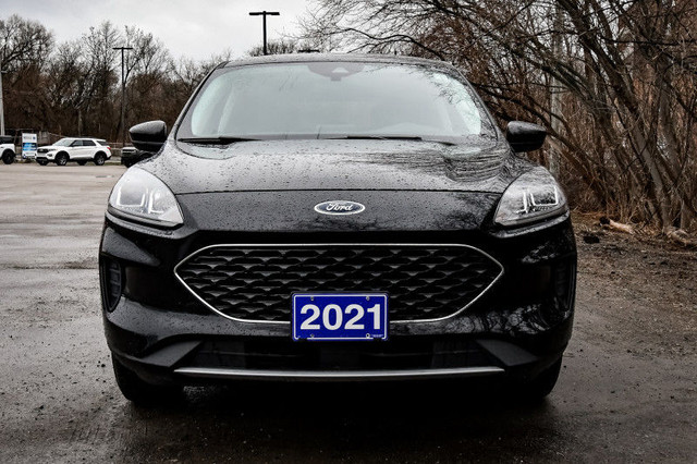 2021 Ford Escape SE AWD - Heated Seats - Android Auto in Cars & Trucks in Cornwall - Image 4