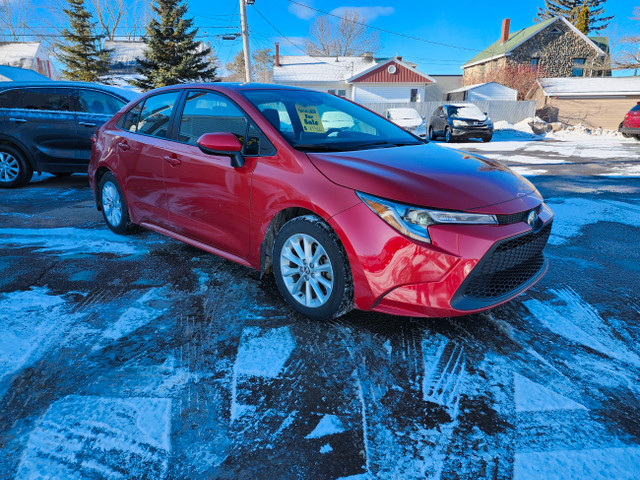 2021 Toyota Corolla LE in Cars & Trucks in Moncton - Image 2