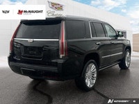 The 2019 Cadillac Escalade includes four-wheel drive, an adaptive air suspension, and power retracta... (image 4)