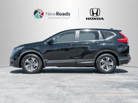 WAS: $22095 NOW: $20195 plus taxes and licensing feesThis 2019 CR-V LX comes equipped with AWD, Auto... (image 3)