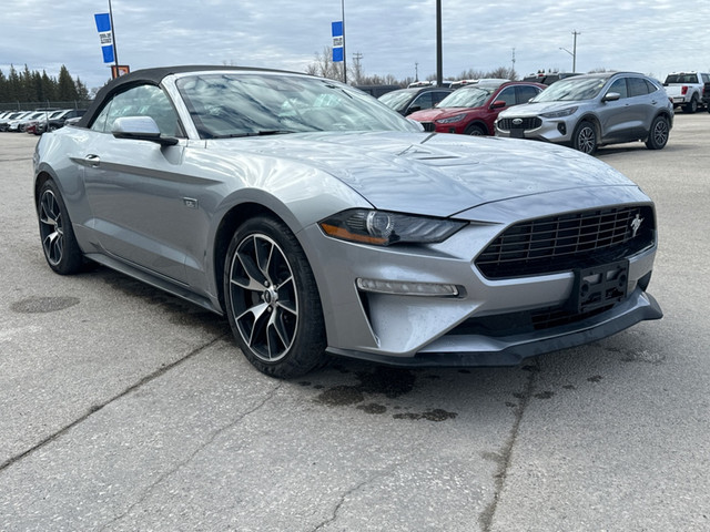 2022 Ford Mustang EcoBoost - Low Mileage in Cars & Trucks in Winnipeg - Image 4