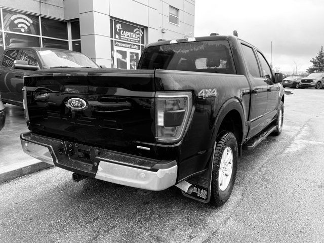 2023 Ford F-150 XLT in Cars & Trucks in Edmonton - Image 4
