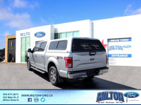 2016 F-150 XLT - ACCIDENT FREE - BOXLINK CARGO SYSTEM - PICKUP BOX TIE DOWN HOOKS - XTR PACKAGE - TR... (image 3)