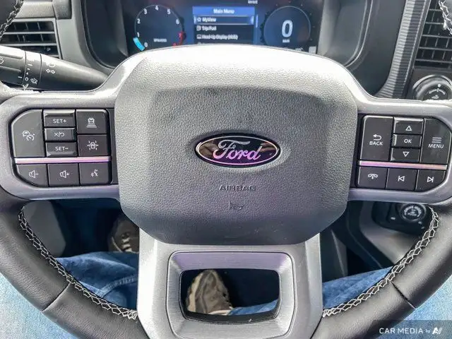 2025 Ford F-150 LARIAT in Cars & Trucks in Brandon - Image 22