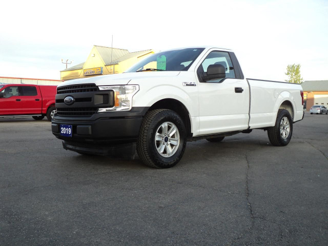 2019 Ford F-150 XL RegCab 2WD 3.3L6cylGas 8' Box BackUpCam in Cars & Trucks in Brantford - Image 2