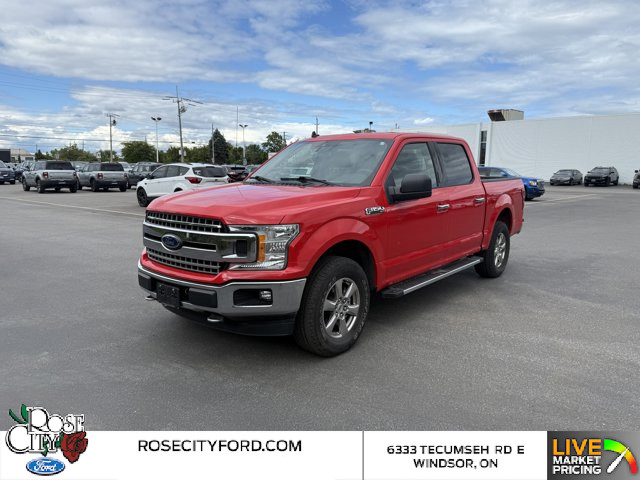 2019 Ford F-150 in Cars & Trucks in Windsor Region