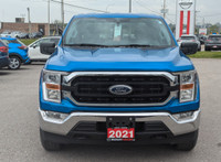 2021 Ford F-150 XLT XLT | 2.7L | Clean Carfax Velocity Blue Metallic 2.7L V6 EcoBoost 4WD 10-Speed A... (image 2)