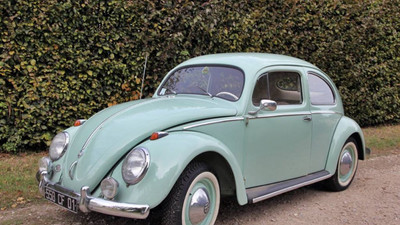 Looking For Classic Beetle