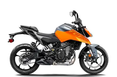 Engine Type: Single-Cylinder Displacement: 15.2 cu. in. (249 cc) Bore and Stroke: Bore: 2.83 in. (72...
