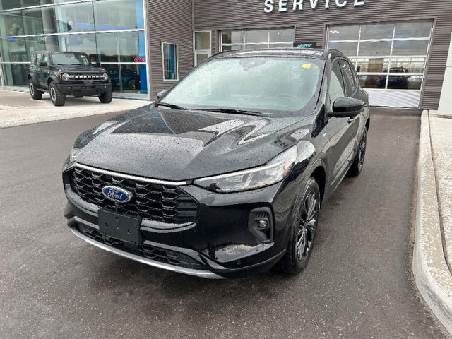  2024 Ford Escape ST-Line Elite *500A HYBRID, Premium Tech Pkg,  dans Autos et camions  à Région des lacs Kawartha - Image 4