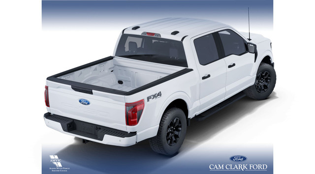 2025 Ford F-150 STX in Cars & Trucks in Red Deer - Image 4