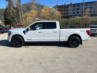 Skid Plates, Pro Power Onboard - 7.2KW, Platinum Black Leather Bucket, Wheel Well Liner, Bedliner Sp... (image 6)