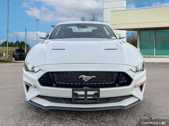 2021 Ford Mustang GT in Cars & Trucks in Kitchener / Waterloo - Image 3