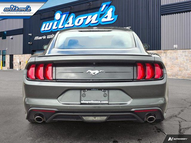 2020 Ford Mustang EcoBoost Premium Coupe | 6-Speed Manual in Cars & Trucks in Guelph - Image 4