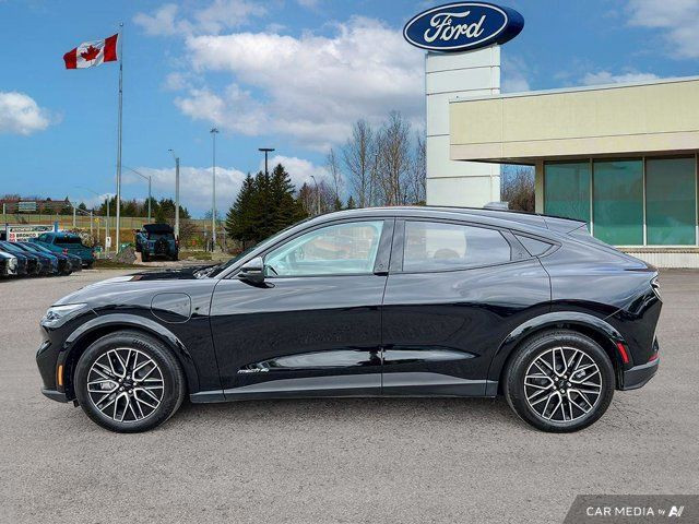 2025 Ford Mustang Mach-E Premium in Cars & Trucks in Kitchener / Waterloo - Image 4