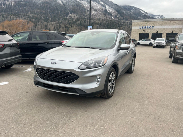 2022 Ford Escape SEL Hybrid AWD - Power Liftgate - $244 B/W in Cars & Trucks in Cranbrook - Image 4