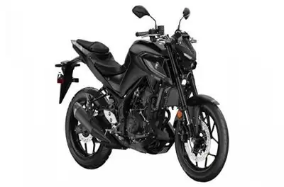 Engine Type: In-Line Displacement: 19.6 cu. in. (321 cc) Bore and Stroke: Bore: 2.68 in. (68 mm); St...