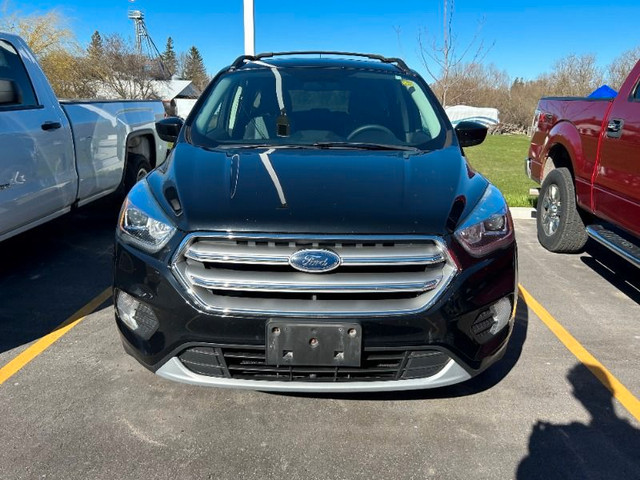  2017 Ford Escape SE in Cars & Trucks in Kawartha Lakes - Image 2