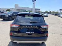 This Ford Escape delivers a Intercooled Turbo Premium Unleaded I-4 2.0 L/122 engine powering this Au... (image 2)