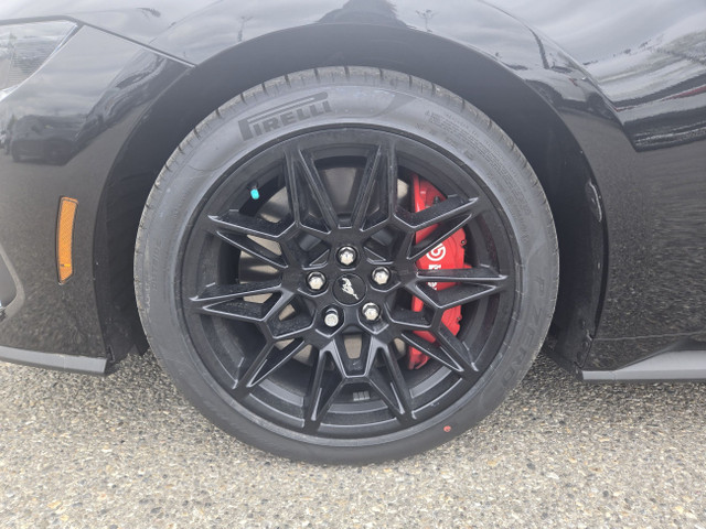 2025 Ford Mustang GT PREMIUM | PERFORMANCE PKG | NITE PONY PKG in Cars & Trucks in Calgary - Image 4