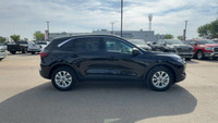 This Ford Escape is equipped with: Cloth Seats Trim, Radio: AM/FM Stereo w/SiriusXM, 8 Inch Touchscr... (image 9)