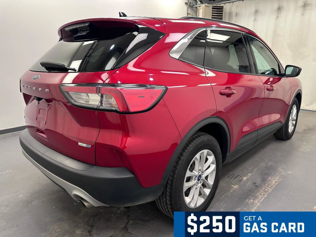 2020 Ford Escape SE 1.5L 3CYL | HEATED FRONT SEATS | BLUETOOTH in Cars & Trucks in Lethbridge - Image 3
