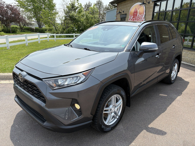 2020 Toyota RAV4 XLE Sunroof! Remote Starter! Backup Camera! in Cars & Trucks in Moncton - Image 3