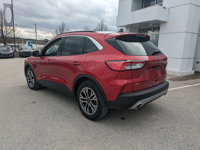 2020 Ford Escape SEL 4WD - Leather/Roof/Nav/Adaptive Cruise!!!! in Cars & Trucks in Kawartha Lakes - Image 3