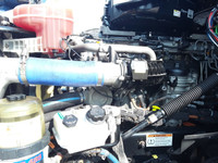 Ryder Stock ID: 281367 Transmission Type/Speed: Auto 12 Engine: DIESEL DD15 GHG'17 505/1625 Horse Po... (image 9)