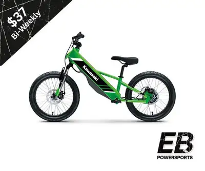 Lime Green 12 Month Warranty