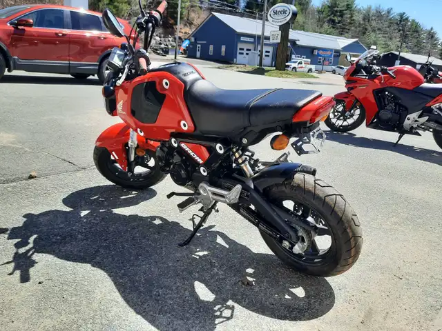 2023 HONDA M/C GROM MSX125P GROM AS LOW AS $59BW in Street, Cruisers & Choppers in Bridgewater - Image 11