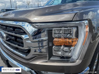 Engine: 8 Cylinder Engine 5.0L L/100Km City: 14.8 L/100Km Hwy: 10.9 Safety Equipment ABS And Driveli... (image 5)